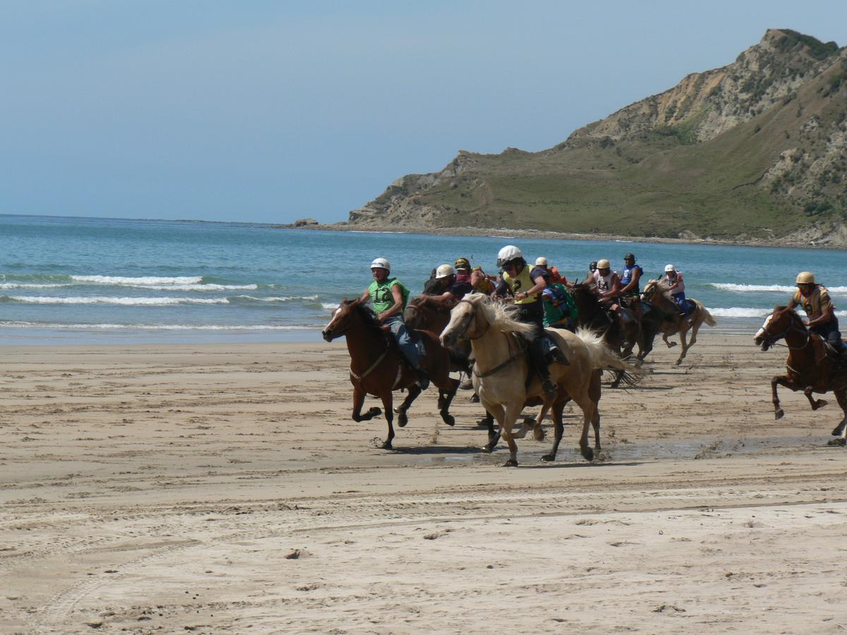 Tolaga Bay Inn 외부 사진